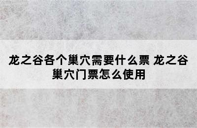 龙之谷各个巢穴需要什么票 龙之谷巢穴门票怎么使用